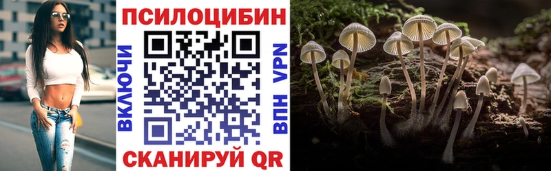 купить наркотик  Альметьевск  Галлюциногенные грибы MAGIC MUSHROOMS 