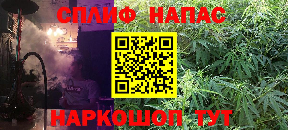 Бошки Шишки план Альметьевск